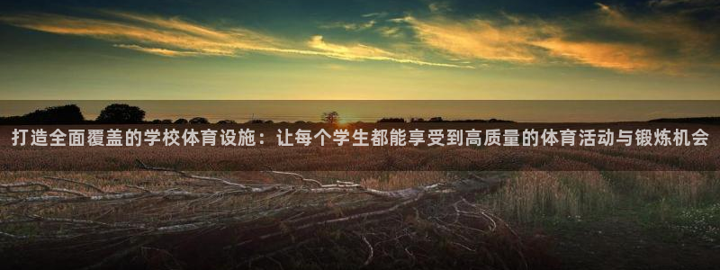 意昂4五金厂：打造全面覆盖的学校体育设施：让每个学生