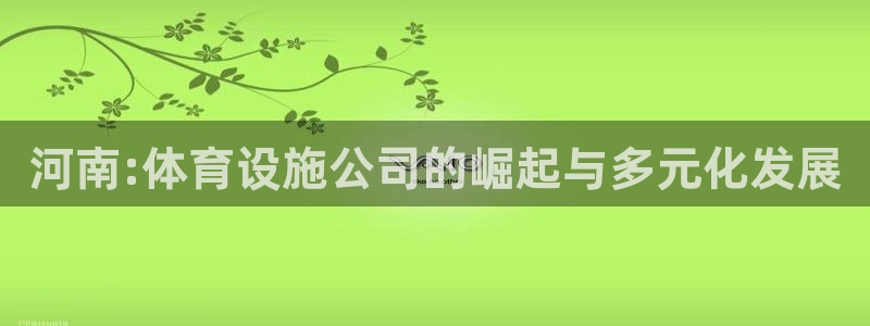 意昂4娱乐首页网站大全：河南:体育设施公司的崛起与多