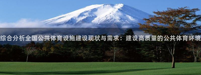 意昂4五金厂：综合分析全国公共体育设施建设现状与需求