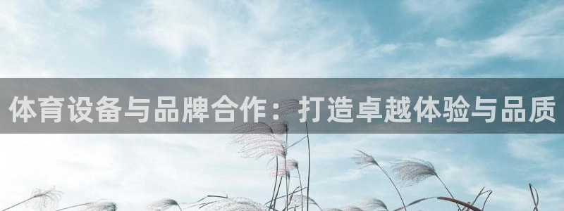 意昂体育4招商：体育设备与品牌合作：打造卓越体验与品