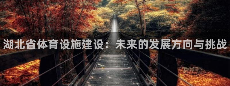 意昂体育4平台是正规平台吗安全吗：湖北省体育设施建设