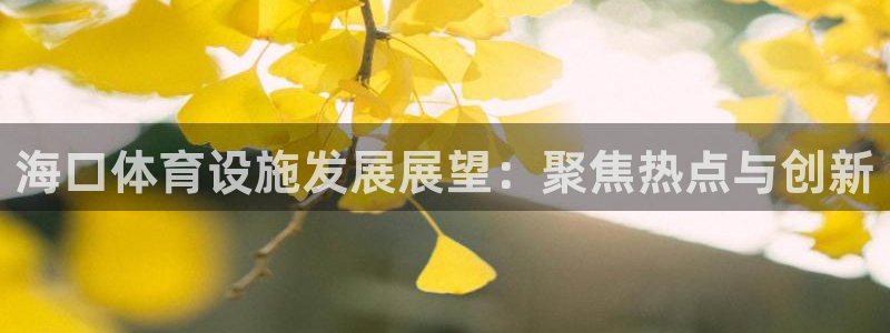 意昂体育4软件：海口体育设施发展展望：聚焦热点与创新