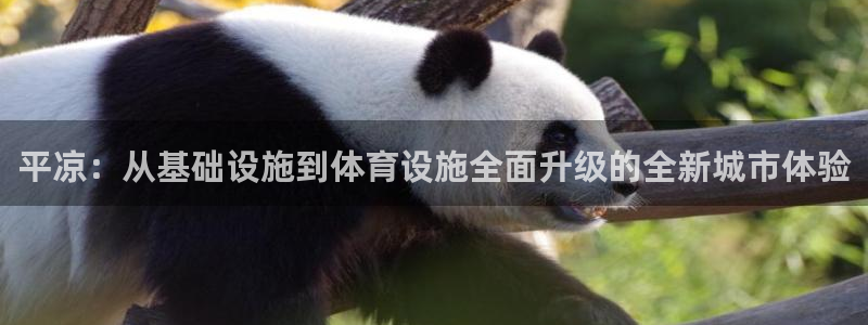 意昂体育4官方客服电话：平凉：从基础设施到体育设施全