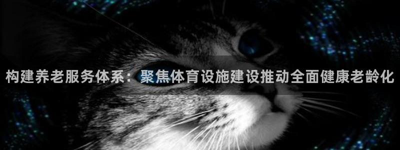 意昂体育4平台注册要钱吗：构建养老服务体系：聚焦体育