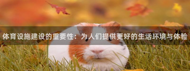 意昂体育4联系电话：体育设施建设的重要性：为人们提供