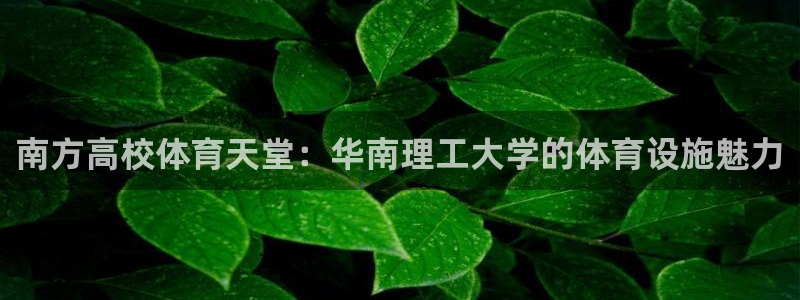 意昂体育4官方客服电话：南方高校体育天堂：华南理工大学的体育
