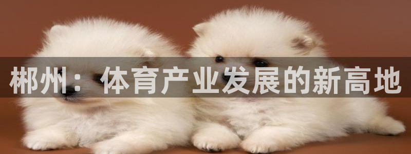 意昂体育4平台假的吗是真的吗吗：郴州：体育产业发展的