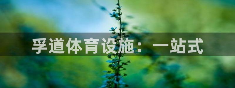 意昂4神州：孚道体育设施：一站式