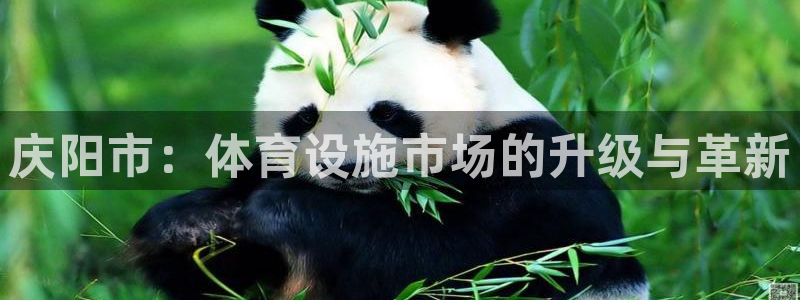 意昂4代理：庆阳市：体育设施市场的升级与革新