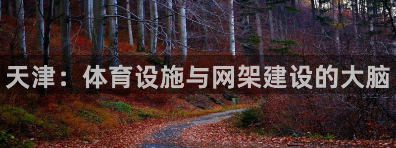 意昂体育4招商电话地址查询：天津：体育设施与网架建设的大脑