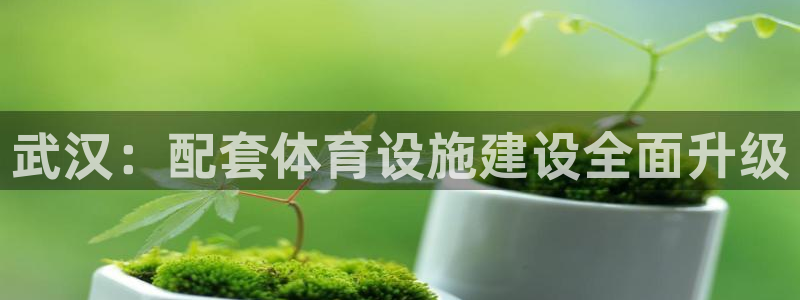 意昂体育4：武汉：配套体育设施建设全面升级