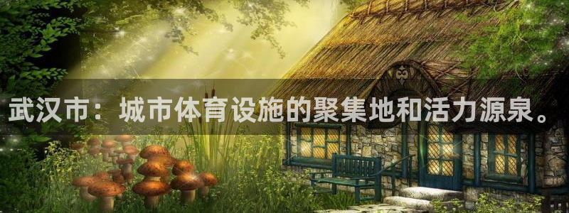 意昂体育4平台注册流程图：武汉市：城市体育设施的聚集