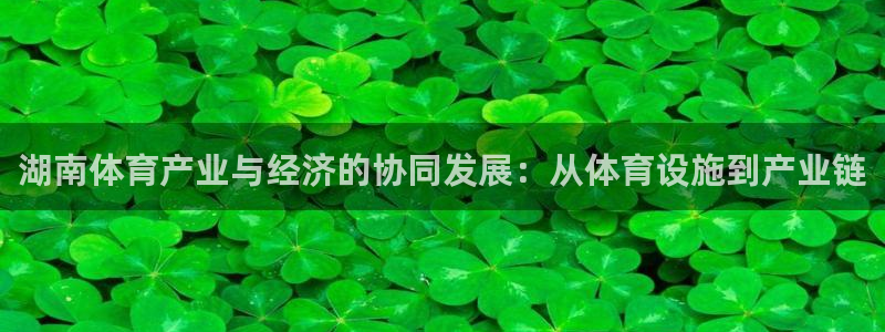 意昂4娱乐下载：湖南体育产业与经济的协同发展：从体育