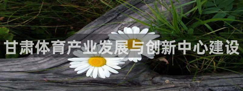 意昂4集团：甘肃体育产业发展与创新中心建设