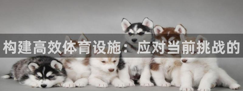 意昂体育4招商电话是多少啊：构建高效体育设施：应对当前挑战的