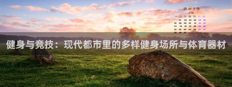 意昂4娱乐网站：健身与竞技：现代都市里的多样健身场所与体育器
