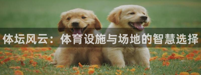 意昂体育4平台是正规平台吗知乎：体坛风云：体育设施与场地的智