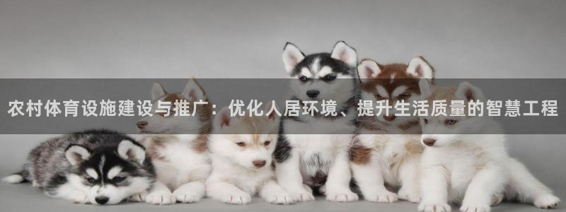 意昂4娱乐网站：农村体育设施建设与推广：优化人居环境、提升生 