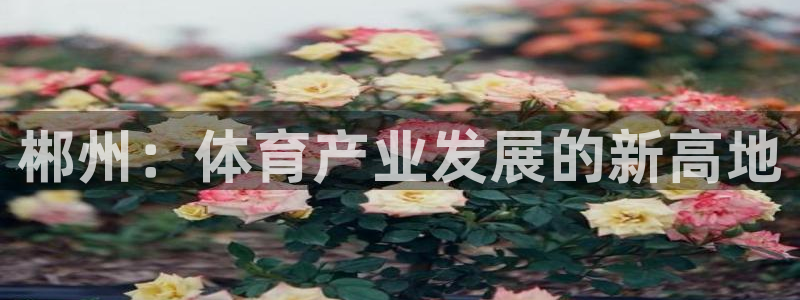 意昂体育4招商电话号码是多少号