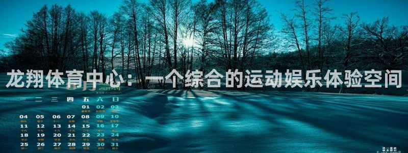 意昂体育4软件：龙翔体育中心：一个综合的运动娱乐体验空间
