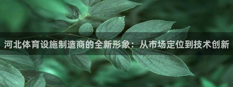 意昂4娱乐首页网站大全：河北体育设施制造商的全新形象：从市场