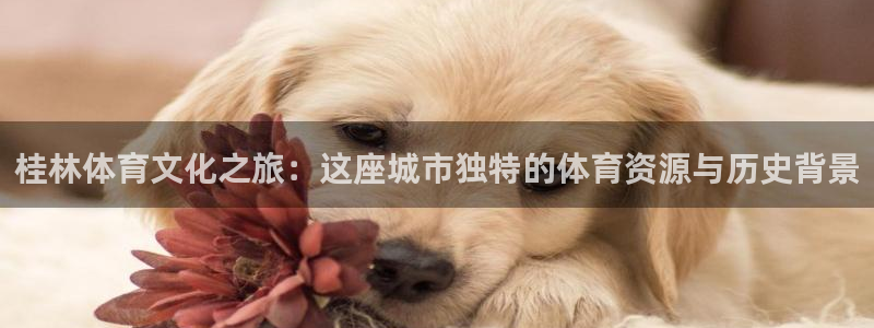 意昂4集团官网首页：桂林体育文化之旅：这座城市独特的体育资源