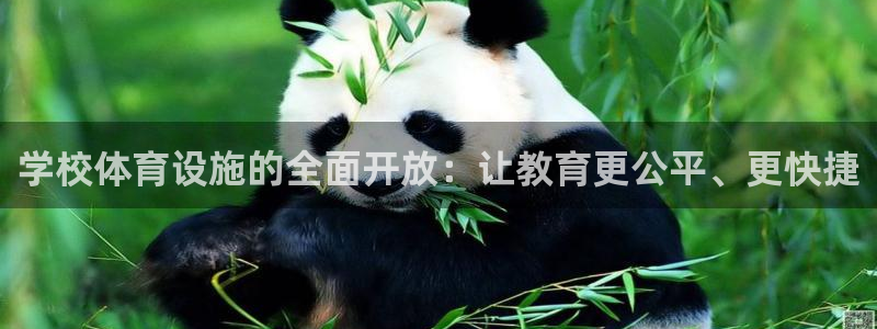 意昂4集团E.ON：学校体育设施的全面开放：让教育更公平、更