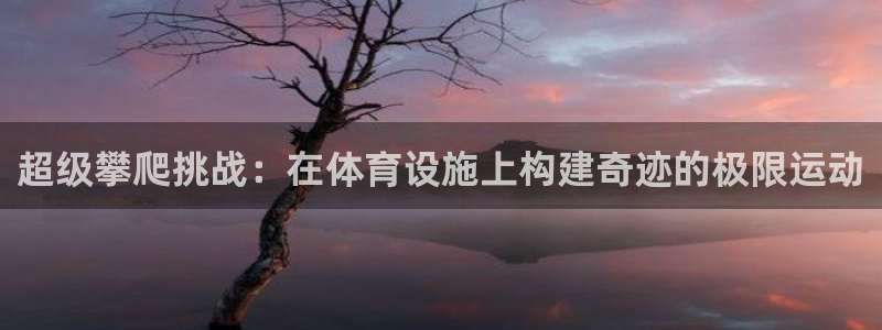 意昂体育4招商电话号码是多少：超级攀爬挑战：在体育设施上构建
