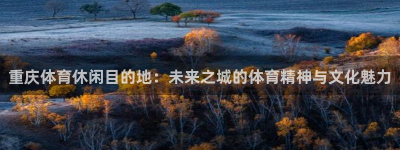 意昂体育4招商电话是多少：重庆体育休闲目的地：未来之城的体育