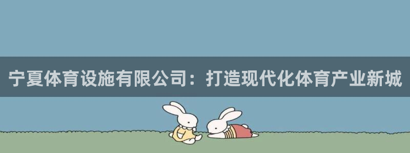 注册意昂4：宁夏体育设施有限公司：打造现代化体育产业新城 
